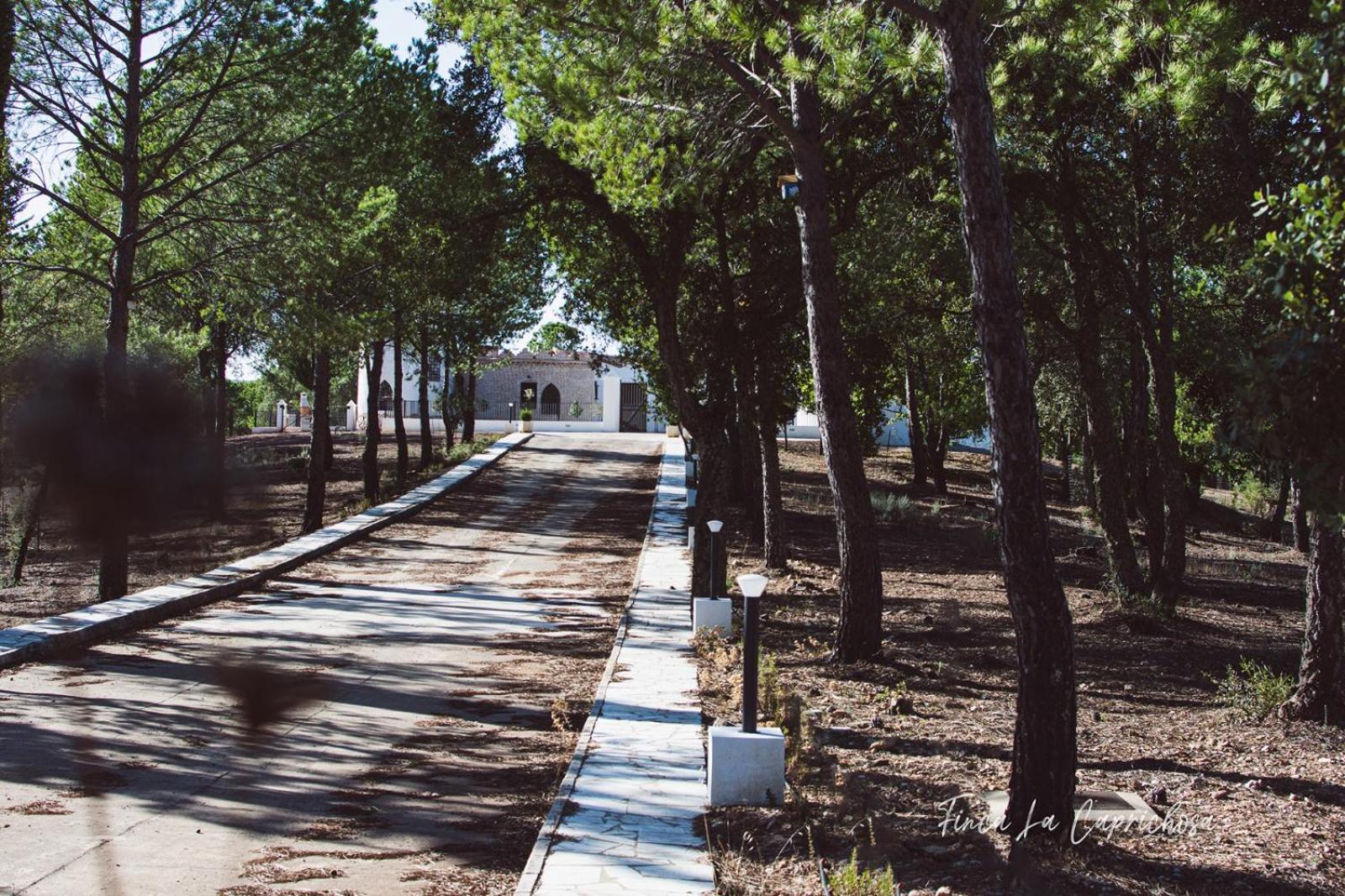Finca Caprichosa Кортеласор Экстерьер фото